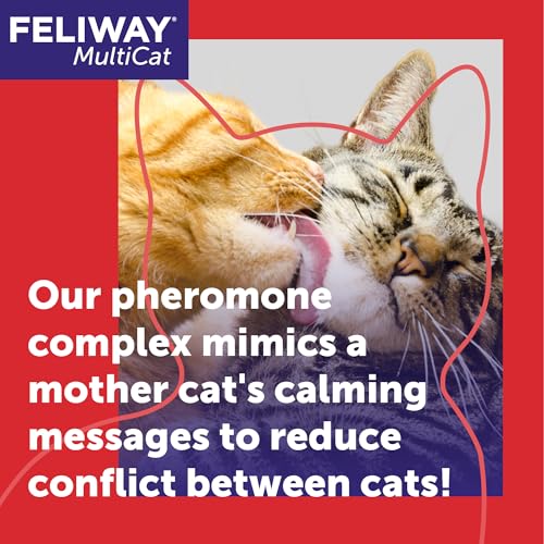 FELIWAY® MultiCat 3 x 30 Day Cat Calming Refills for Pheromone Diffuser, 3 x 48ml Value Pack- Helps Reduce Conflicts and Signs of Tension in Multi-Cat Households