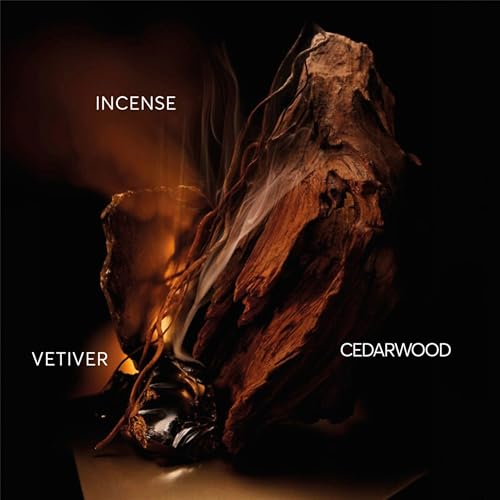 Hugo Boss Bottled Elixir Parfum – Woody Men's Cologne – With Notes of Incense, Vetiver & Cedarwood Essence – Long Lasting Fragrance