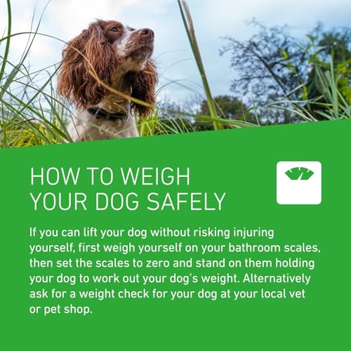 FRONTLINE Plus Flea & Tick Treatment for Large Dogs - 6 Pipettes