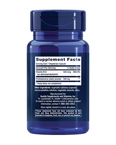 Life Extension Dopamine Advantage, Cognitive Health, Mental Sharpness, Motivation, Vitamin B12, phellodendron bark Powder, Gluten Free, Non-GMO, Vegetarian, 30 Capsules