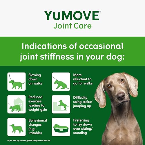 YuMOVE Joint Supplement for Dogs, Higher Strength for Joint Care, Essential Dog Hip and Joint Support for Adult Dogs Aged 6 to 8, 120 Tablets - Eco Friendly and Letter Box Ready Packaging