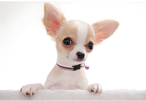 Light Blue XS Dog Collar with Bell, Reflective Cat Collars Girl Soft Adjustable Buckle for XXS XSmall Extra Small Puppy Female Male Tiny Pets Dogs Boy Kitten Yorkie X-Small